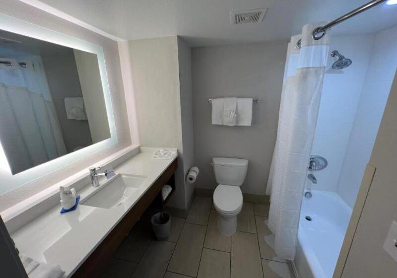 适合残疾人士使用的套间, Holiday Inn Express Hotel & Suites Lake Elsinore, An Ihg