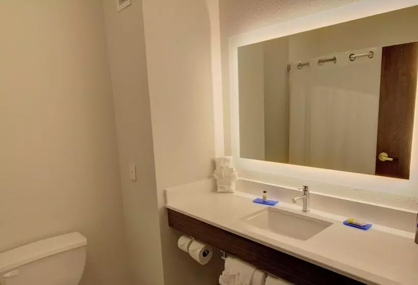 スタンダードルーム, Holiday Inn Express & Suites Le Mars, An Ihg