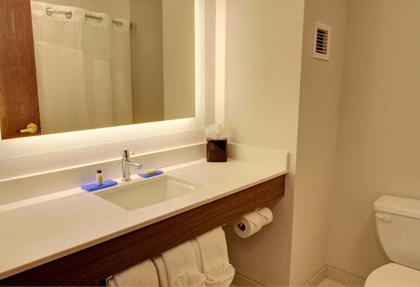 套房, Holiday Inn Express & Suites Le Mars, An Ihg