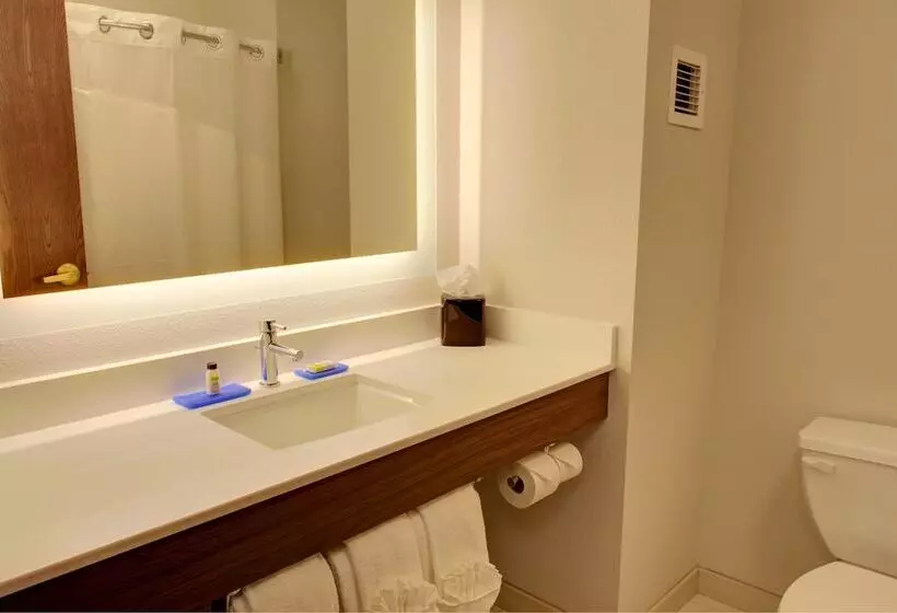 スイート, Holiday Inn Express & Suites Le Mars, An Ihg