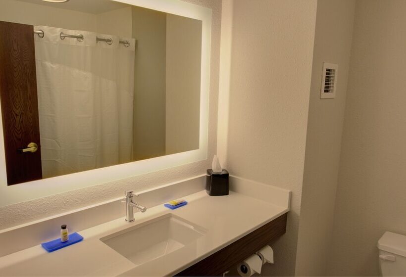 套房, Holiday Inn Express & Suites Le Mars, An Ihg