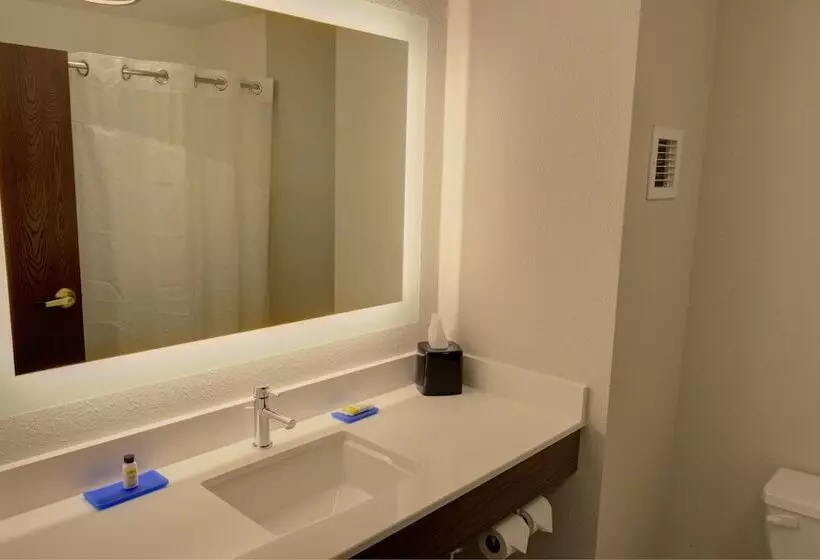 スイート, Holiday Inn Express & Suites Le Mars, An Ihg