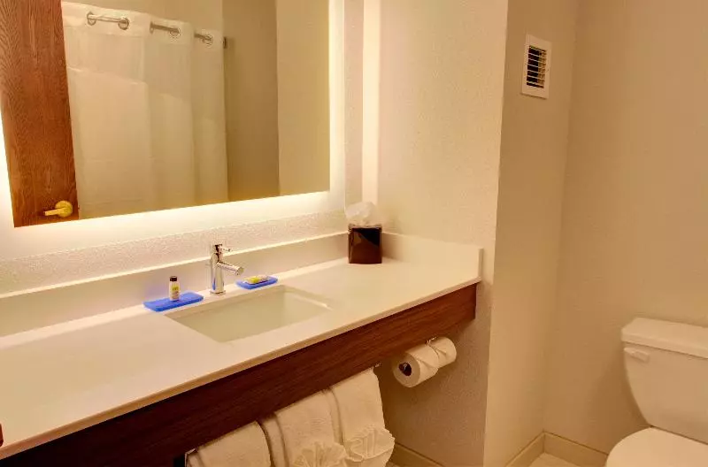 キングサイズベッドのエクゼクティブルーム, Holiday Inn Express & Suites Le Mars, An Ihg