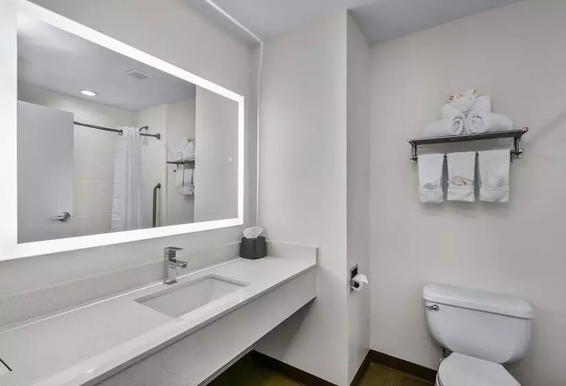 スイート, Holiday Inn Express Hotel & Suites Lucedale, An Ihg