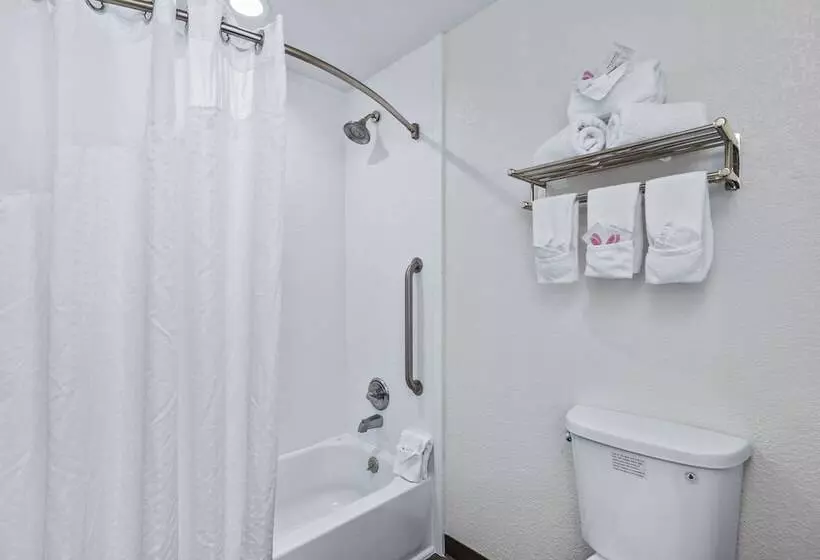 スイート, Holiday Inn Express Hotel & Suites Lucedale, An Ihg