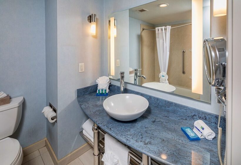 جناح, Holiday Inn Express Hotel & Suites Modesto Salida, An Ihg