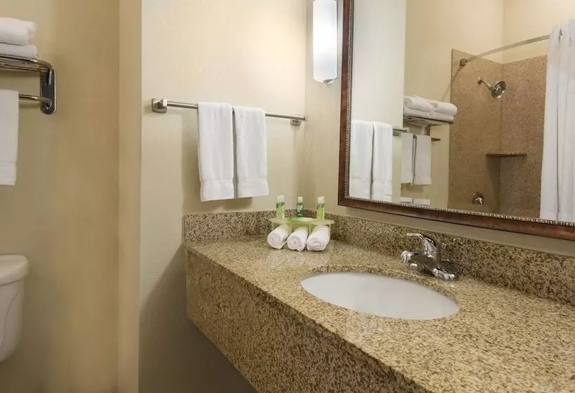 スイート, Holiday Inn Express Hotel & Suites New Iberia   Avery Island, An Ihg