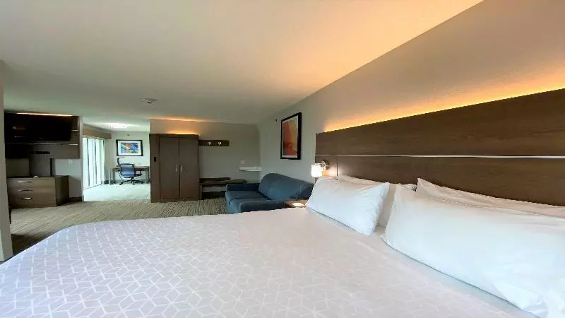 身障者適用キングサイズベッドルーム, Holiday Inn Express Hotel & Suites Somerset Central, An Ihg
