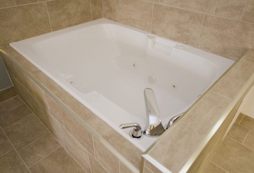 스위트, Holiday Inn Express Hotel & Suites Saint Joseph, An Ihg