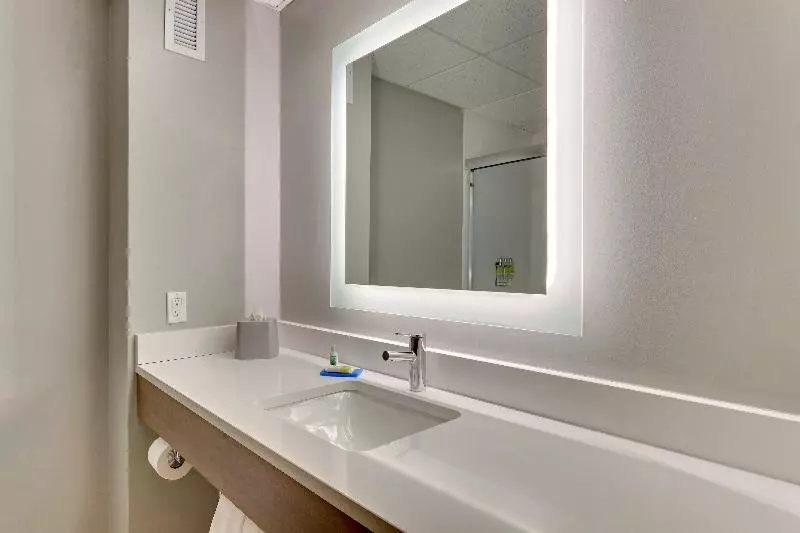 スイート, Holiday Inn Express & Suites Bad Axe, An Ihg