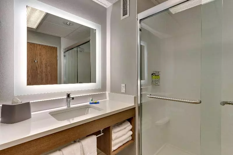 スタンダードルーム, Holiday Inn Express & Suites Bad Axe, An Ihg