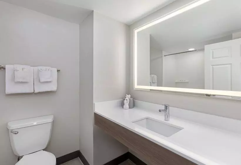 スイート, Holiday Inn Express & Suites Columbus At Northlake, An Ihg