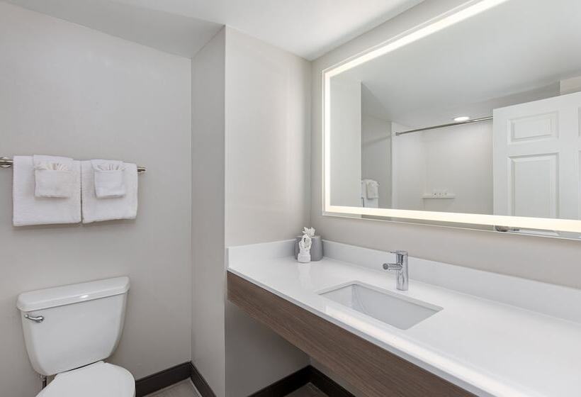 חדר סטנדרט, Holiday Inn Express & Suites Columbus At Northlake, An Ihg