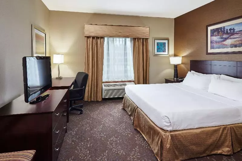 キングサイズベッドのスタンダードルーム, Holiday Inn Grand Rapids   South, An Ihg
