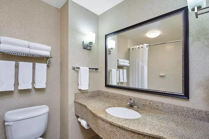 キングサイズベッドのスタンダードルーム, Holiday Inn Grand Rapids   South, An Ihg