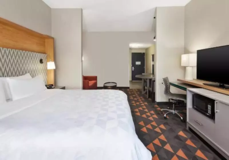 身障者適用キングサイズベッドルーム, Holiday Inn Grand Rapids   South, An Ihg