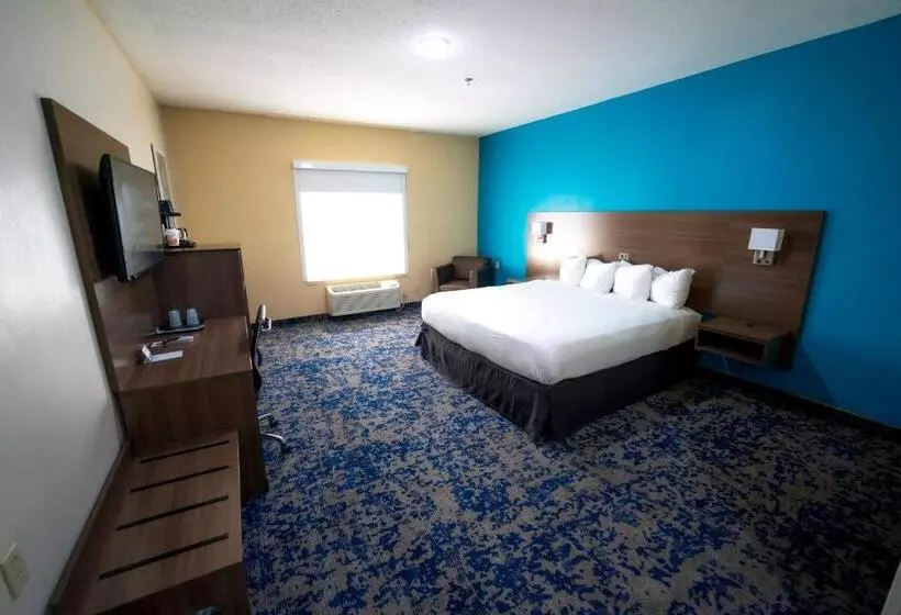 身障者適用キングサイズベッドルーム, Quality Inn & Suites