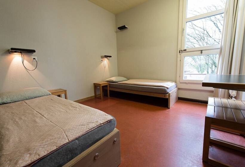 اتاق استاندارد با سرویس بهداشتی مشترک, Zurich Youth Hostel