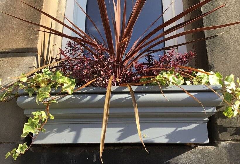 스탠다드 룸, Martin S Guesthouse