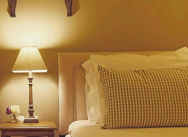 اتاق سوپریور با چشمانداز دریا, Arion Syros