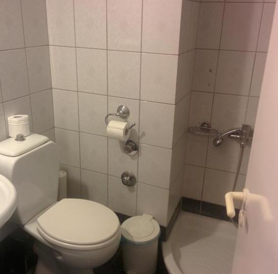 اتاق استاندارد سه تخته با بالکن, Delfini