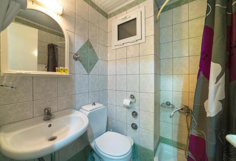 اتاق اکونومی یک تخته, Delfini