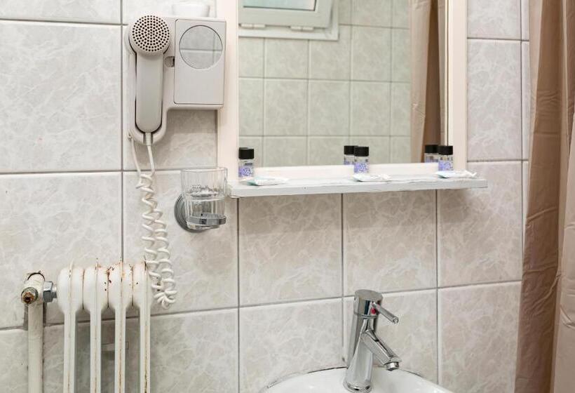 Economy Triple Room, Delfini