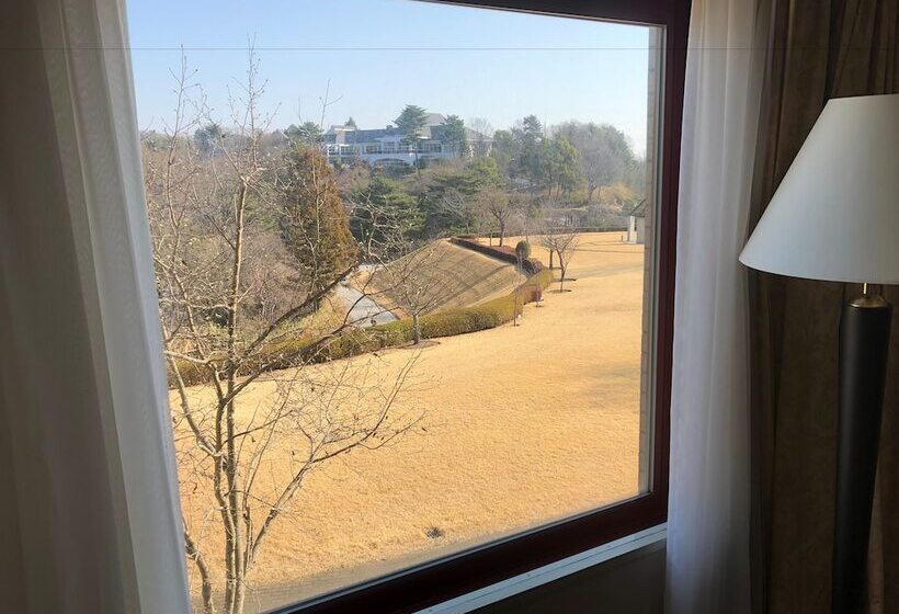 スタンダードルーム, Hiroshima Airport