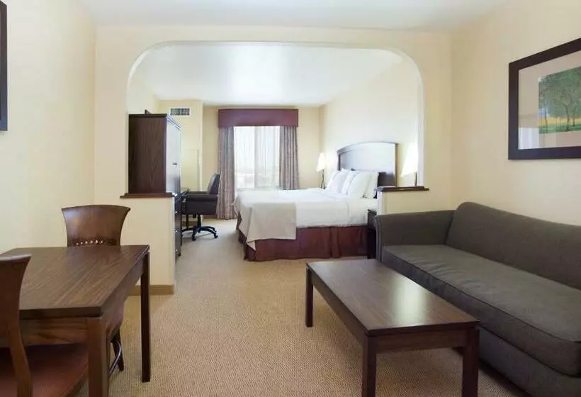 キングサイズベッドのスイートルーム, Holiday Inn Denver Parker E470/parker Road By Ihg