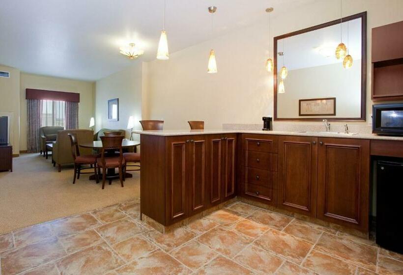 Suite King Size Bed, Holiday Inn Denver Parker E470/parker Road By Ihg