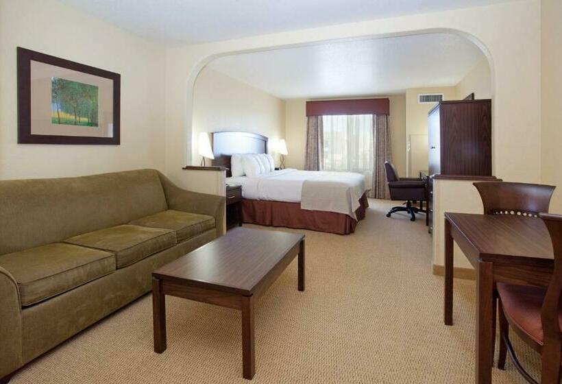 Executive Szoba King Size Bed, Holiday Inn Denver Parker E470/parker Road By Ihg