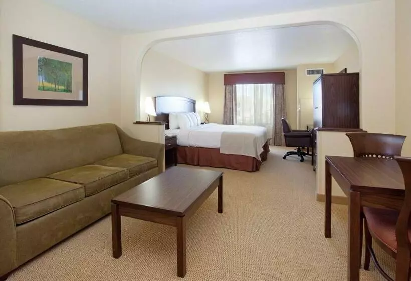 キングサイズベッドのエクゼクティブルーム, Holiday Inn Denver Parker E470/parker Road By Ihg