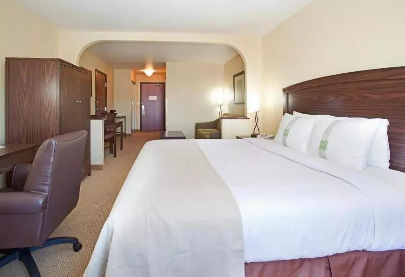 キングサイズベッドのエクゼクティブルーム, Holiday Inn Denver Parker E470/parker Road By Ihg
