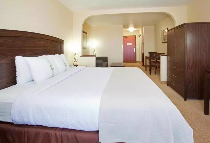 身障者適用キングサイズベッドルーム, Holiday Inn Denver Parker E470/parker Road By Ihg