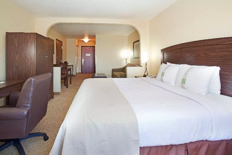 身障者適用キングサイズベッドルーム, Holiday Inn Denver Parker E470/parker Road By Ihg