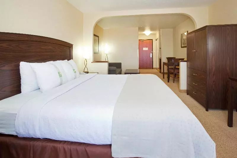 身障者適用キングサイズベッドルーム, Holiday Inn Denver Parker E470/parker Road By Ihg