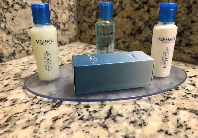 Executive Szoba King Size Bed, Holiday Inn Denver Parker E470/parker Road By Ihg