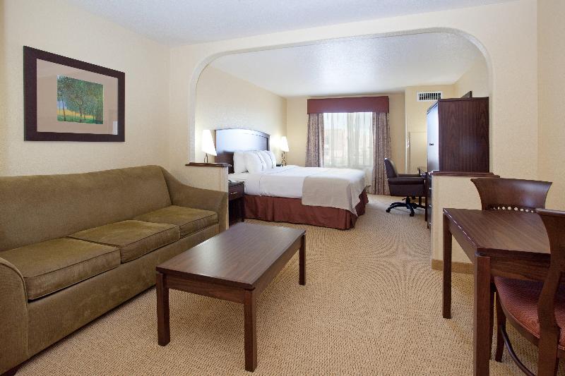 Suite King Size Bed, Holiday Inn Denver Parker E470/parker Road By Ihg