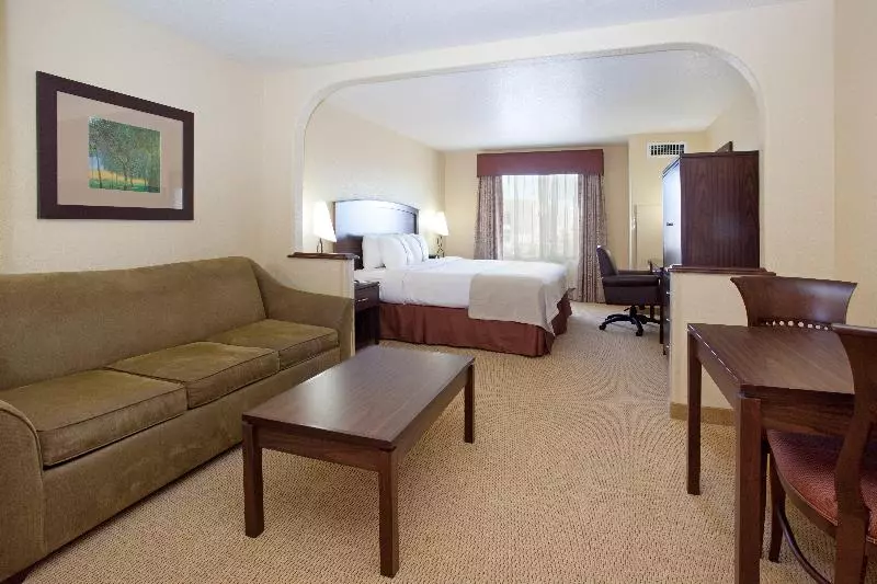 キングサイズベッドのスイートルーム, Holiday Inn Denver Parker E470/parker Road By Ihg