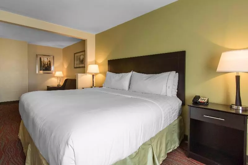 キングサイズベッドのスタンダードルーム, Holiday Inn Express Hotel & Suites Cullman By Ihg