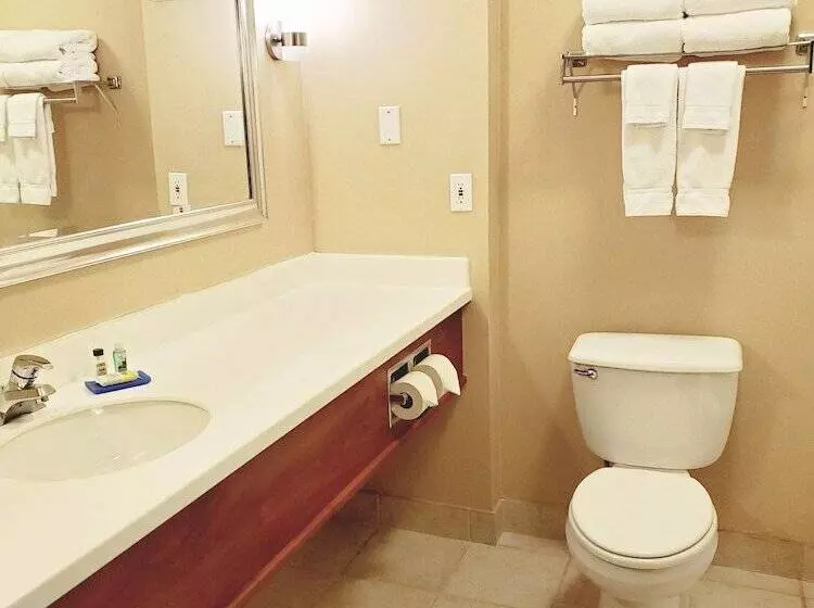 スタンダードルーム, Holiday Inn Express Hotel & Suites Portland Northwest Downtown, An Ihg