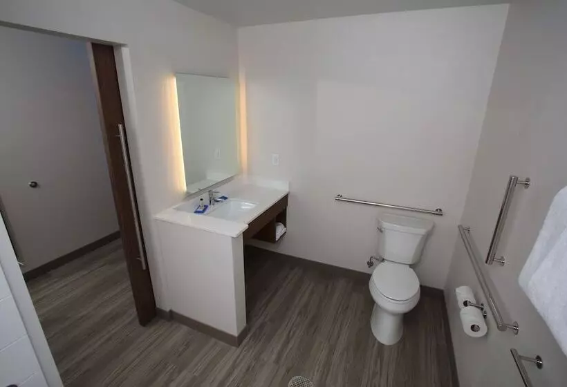 身障者適用スタンダードルーム, Holiday Inn Express Hotel And Suites Lincoln Airport, An Ihg