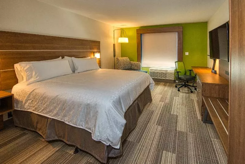 キングサイズベッドのスイートルーム, Holiday Inn Express Hotel And Suites Lincoln Airport, An Ihg