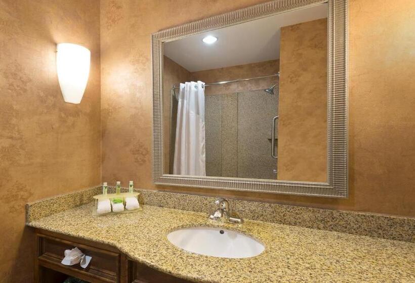 스위트, Holiday Inn Express Suites Little Rock West, An Ihg