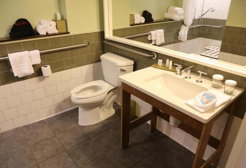 身障者適用キングサイズベッドルーム, Indigo Athens   University Area, An Ihg