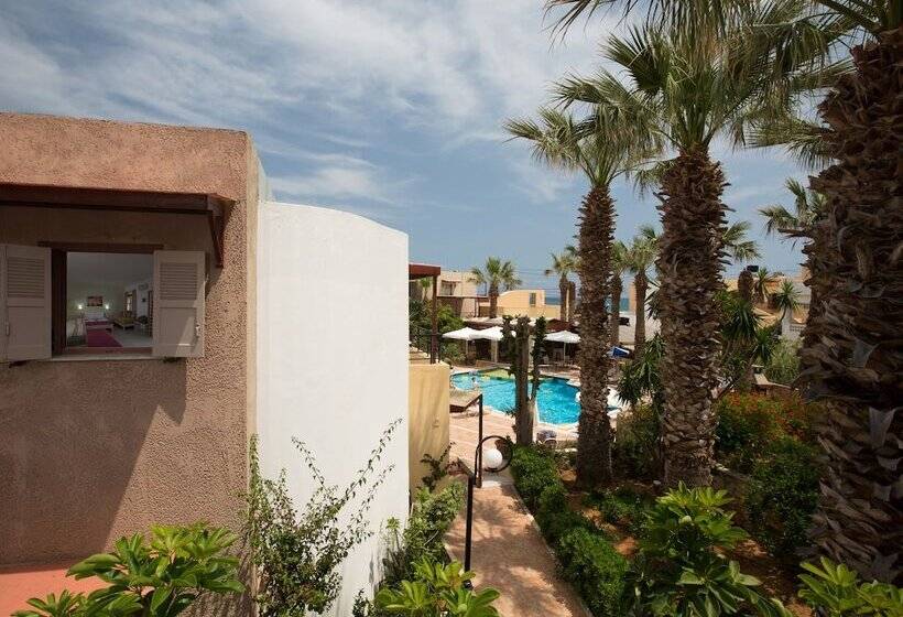 스탠다드 스튜디오, Latania Apartments