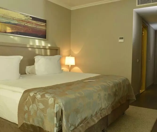 اتاق استاندارد, Ramada Plaza By Wyndham Kahramanmaras