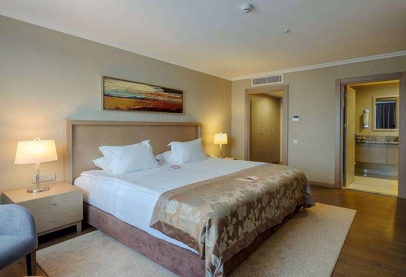 스위트, Ramada Plaza By Wyndham Kahramanmaras