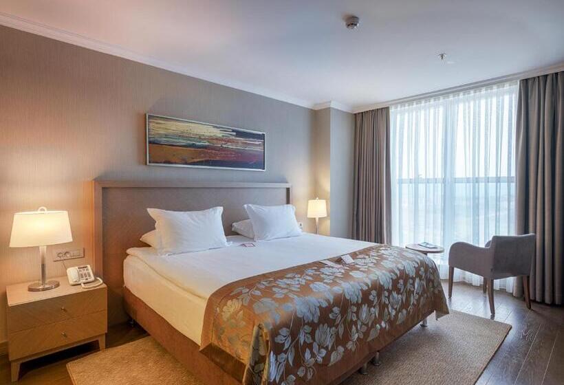 수피리어 룸, Ramada Plaza By Wyndham Kahramanmaras