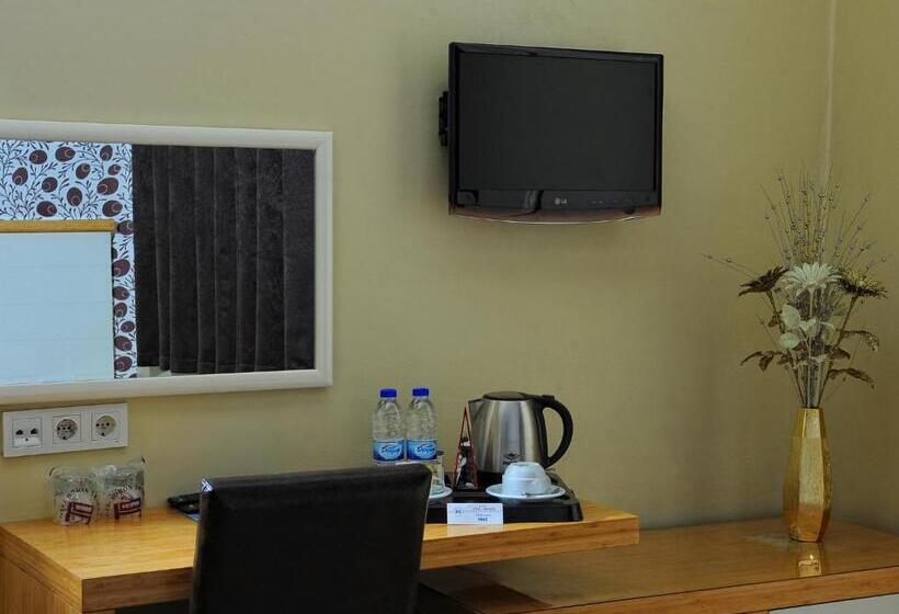 اتاق استاندارد, Horon